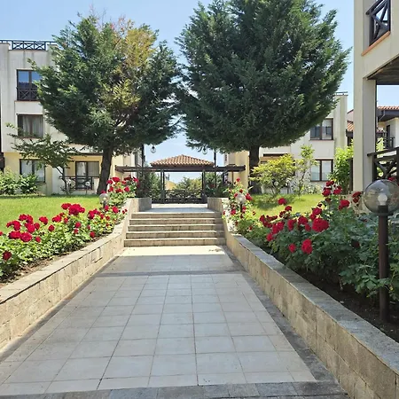 градина * Chernomorets